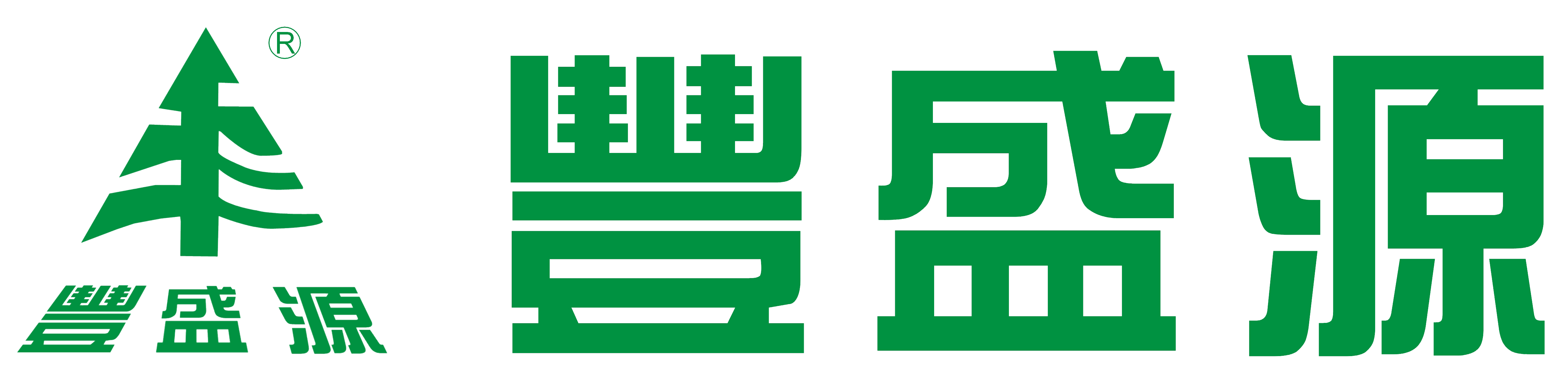 深圳市丰盛源电子有限公司